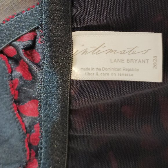 NWOT ~ Lane Bryant's Intimates Sheer Panties w/ Bright Red Hearts (Size: 26/28) - Picture 5 of 5